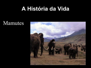 História da Terra e da Vida