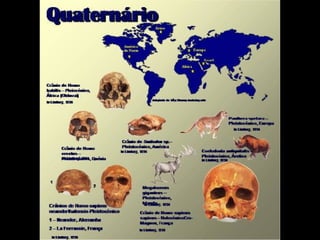 História da Terra e da Vida