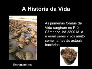 História da Terra e da Vida