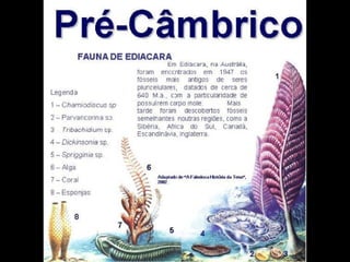 História da Terra e da Vida