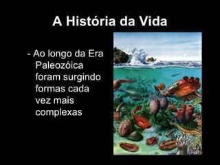 História da Terra e da Vida