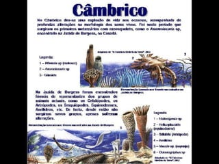 História da Terra e da Vida