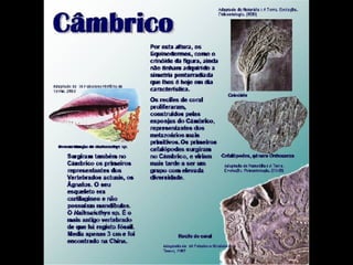 História da Terra e da Vida