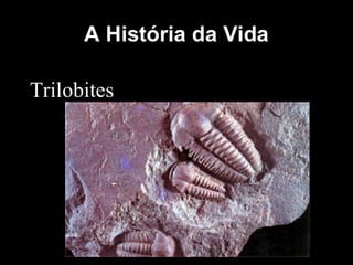 História da Terra e da Vida
