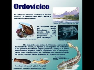 História da Terra e da Vida