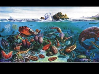 História da Terra e da Vida