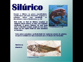 História da Terra e da Vida