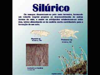 História da Terra e da Vida