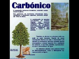 História da Terra e da Vida