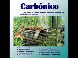 História da Terra e da Vida