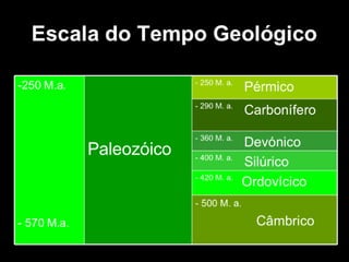 História da Terra e da Vida