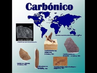 História da Terra e da Vida