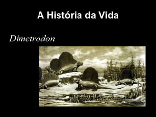 História da Terra e da Vida
