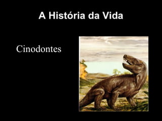 História da Terra e da Vida