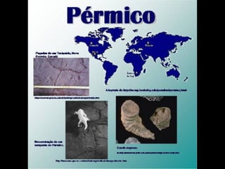 História da Terra e da Vida