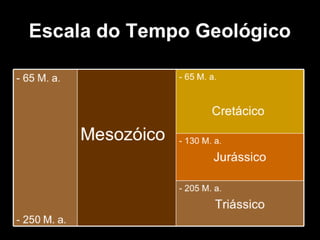 História da Terra e da Vida