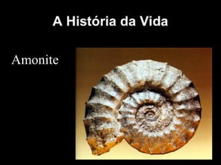 História da Terra e da Vida