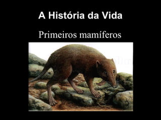História da Terra e da Vida