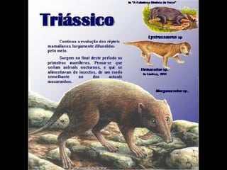 História da Terra e da Vida