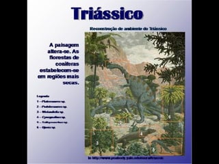 História da Terra e da Vida