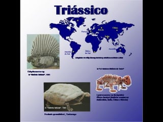 História da Terra e da Vida