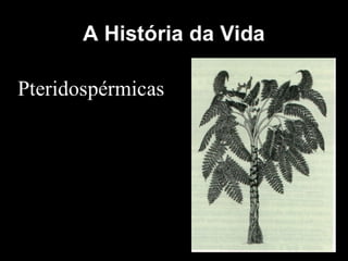 História da Terra e da Vida