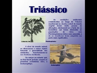 História da Terra e da Vida