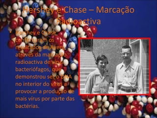 Hershey e Chase – Marcação
Radioactiva
• Hershey e Chase
confirmaram os
resultados de Avery,
através da marcação
radioactiva de vírus
bacteriófagos, que
demonstrou ser o DNA
no interior do vírus a
provocar a produção de
mais vírus por parte das
bactérias.
 