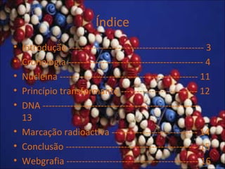 Índice
• Introdução -------------------------------------------- 3
• Cronologia -------------------------------------------- 4
• Nucleína --------------------------------------------- 11
• Princípio transformante ------------------------- 12
• DNA ---------------------------------------------------
13
• Marcação radioactiva ---------------------------- 14
• Conclusão ------------------------------------------- 15
• Webgrafia ------------------------------------------- 16
 