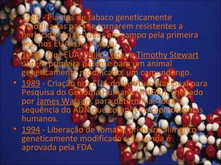 • 1986 - Plantas de tabaco geneticamente
modificadas para se tornarem resistentes a
herbicida são testadas em campo pela primeira
vez, nos EUA e na França.
• 1988 - Nos EUA, Philip Leder e Timothy Stewart
obtêm primeira patente para um animal
geneticamente modificado, um camundongo.
• 1989 - Criação nos EUA do Instituto Nacional para
Pesquisa do Genoma Humano (NHGRI), chefiado
por James Watson, para determinar toda a
sequência do ADN que compõe os cromossomas
humanos.
• 1994 - Liberação de tomate, primeiro alimento
geneticamente modificado cuja venda é
aprovada pela FDA.
 