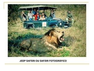 JEEP SAFÁRI OU SAFÁRI FOTOGRÁFICO 