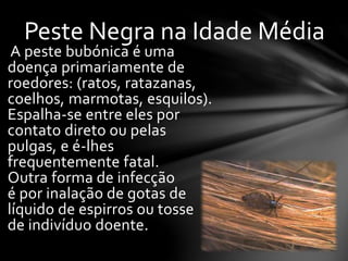 A peste bubónica é uma
doença primariamente de
roedores: (ratos, ratazanas,
coelhos, marmotas, esquilos).
Espalha-se entre eles por
contato direto ou pelas
pulgas, e é-lhes
frequentemente fatal.
Outra forma de infecção
é por inalação de gotas de
líquido de espirros ou tosse
de indivíduo doente.
Peste Negra na Idade Média
 