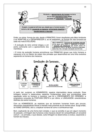 10
Então, as várias formas de vida, desde o PRINCÍPIO, foram desafiadas pelo Meio Ambiente
a se ADAPTAR ou a DESAPARECER e, ao se adaptarem, as formas de vida tornaram-se
cada vez mais EVOLUÍDAS.
• A evolução do reino animal chegou a um
ponto culminante com o aparecimento dos
mamíferos.
• O início da evolução humana encontra-se nos PRIMATAS (grupo que inclui homens e
macacos) e foi no interior da ordem dos primatas que desenvolveu-se uma linha evolutiva
separando os homens dos macacos.
A partir daí, surgiram os HOMINÍDEOS, espécie intermediária dessa evolução. Essa
linhagem evoluiu e desenvolveu aspectos fundamentais para que acontecesse essa
separação entre os homens e macacos, que foi o CRESCIMENTO DO CÉREBRO, a
progressiva conquista da POSTURA ERETA e por último, a LINGUAGEM, características
distintas dos seres humanos.
Com os HOMINÍDEOS, as espécies que se tornariam humanas foram aos poucos,
assumindo características físicas e mentais mais próximas às do homem atual. Surge então,
os HOMO SAPIENS, isto é, a espécie humana tal como a conhecemos hoje.
Bom, explicando de uma forma bem simples, o que se acredita é que em algum momento
do passado, a linhagem dos humanos e dos macacos devem ter compartilhado um ancestral
comum – os primatas, e que desses, outra linhagem se desenvolveu e evoluiu, separando o
homem do macaco.
 