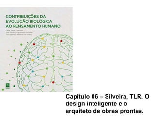 Capítulo 06 – Silveira, TLR. O
design inteligente e o
arquiteto de obras prontas.
 