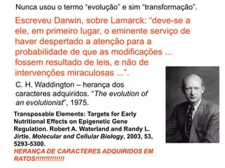 Nunca usou o termo “evolução” e sim “transformação”.
Escreveu Darwin, sobre Lamarck: “deve-se a
ele, em primeiro lugar, o eminente serviço de
haver despertado a atenção para a
probabilidade de que as modificações ...
fossem resultado de leis, e não de
intervenções miraculosas ...”.
C. H. Waddington – herança dos
caracteres adquiridos. “The evolution of
an evolutionist”, 1975.
Transposable Elements: Targets for Early
Nutritional Effects on Epigenetic Gene
Regulation. Robert A. Waterland and Randy L.
Jirtle. Molecular and Cellular Biology, 2003, 53,
5293-5300.
HERANÇA DE CARACTERES ADQUIRIDOS EM
RATOS!!!!!!!!!!!!!!
 
