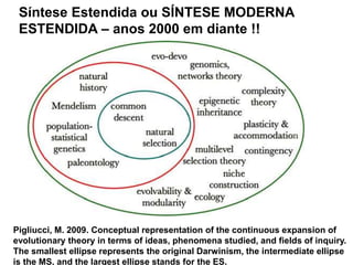 Pigliucci, M. 2009. Conceptual representation of the continuous expansion of
evolutionary theory in terms of ideas, phenomena studied, and fields of inquiry.
The smallest ellipse represents the original Darwinism, the intermediate ellipse
is the MS, and the largest ellipse stands for the ES.
Síntese Estendida ou SÍNTESE MODERNA
ESTENDIDA – anos 2000 em diante !!
 