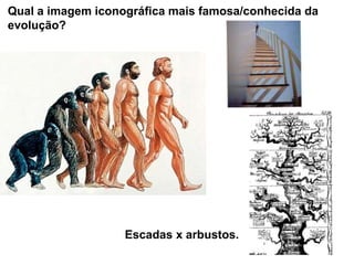 Qual a imagem iconográfica mais famosa/conhecida da
evolução?
Escadas x arbustos.
 