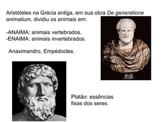 Aristóteles na Grécia antiga, em sua obra De generatione
animalium, dividiu os animais em:
-ANAIMA: animais vertebrados.
-ENAIMA: animais invertebrados.
Anaximandro, Empédocles.
Platão: essências
fixas dos seres.
 