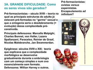 Pré-formacionistas – século XVIII – teoria na
qual as principais estruturas do adulto já
estavam pré-formadas no “germe” sexual e
que a ontogenia seria o desdobramento (=
evolução) dessa complexidade pré-
construída.
Principais defensores: Marcello Malpighi,
Charles Bonnet, von Haller, Lazaro
Spallanzani, Paracelso, Reinier de Graaf,
Nicolas Malebranche, Jan Swammerdan.
Epigênese: séculos XVIII e XIX; teoria
que explicava que a complexidade
morfológica se desenvolve
gradualmente durante a embriologia
com um começo simples e num ovo
essencialmente sem formato.
Defensores: Willian Harvey e outros.
3A. GRANDE DIFICULDADE: Como
os seres vivos são gerados?
Pré-formacionistas:
ovistas versus
espermistas.
Encapsulamento ad
infinitum?
 