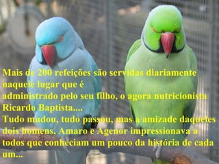 Mais de 200 refeições são servidas diariamente naquele lugar que é  administrado pelo seu filho, o agora nutricionista Ricardo Baptista.... Tudo mudou, tudo passou, mas a amizade daqueles dois homens, Amaro e Agenor impressionava a todos que conheciam um pouco da história de cada  um... 