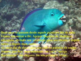 Doze anos se passam desde aquele primeiro dia de aula. Vamos encontrar o Dr. Agenor Baptista de Medeiros, advogado, abrindo seu  escritório para seu cliente, e depois outro, e depois mais outro... Ao meio dia ele desce para um café na padaria do amigo Amaro, que fica  impressionado em ver o "antigo funcionário" tão elegante em seu primeiro  terno... 