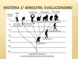 HISTÓRIA 1º BIMESTRE: PALEOLÍTICO
Ponta de uma flecha, no período Paleolítico
 