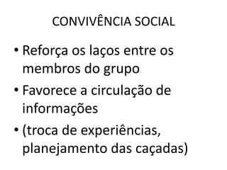 CONVIVÊNCIA SOCIAL
• Reforça os laços entre os
membros do grupo
• Favorece a circulação de
informações
• (troca de experiências,
planejamento das caçadas)
 