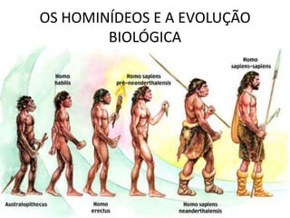 OS HOMINÍDEOS E A EVOLUÇÃO
BIOLÓGICA
 