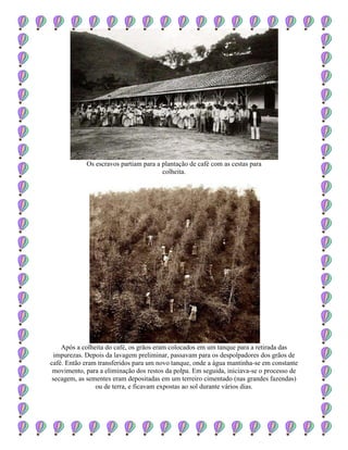 Os escravos partiam para a plantação de café com as cestas para
colheita.
Após a colheita do café, os grãos eram colocados em um tanque para a retirada das
impurezas. Depois da lavagem preliminar, passavam para os despolpadores dos grãos de
café. Então eram transferidos para um novo tanque, onde a água mantinha-se em constante
movimento, para a eliminação dos restos da polpa. Em seguida, iniciava-se o processo de
secagem, as sementes eram depositadas em um terreiro cimentado (nas grandes fazendas)
ou de terra, e ficavam expostas ao sol durante vários dias.
 