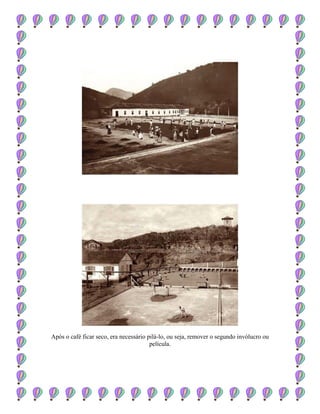 Após o café ficar seco, era necessário pilá-lo, ou seja, remover o segundo invólucro ou
película.
 