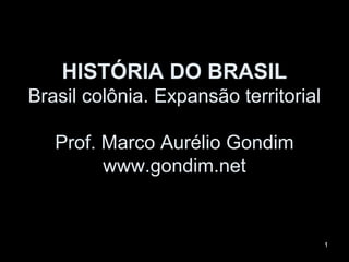 HISTÓRIA DO BRASIL
Brasil colônia. Expansão territorial

   Prof. Marco Aurélio Gondim
         www.gondim.net


                           1           1
 