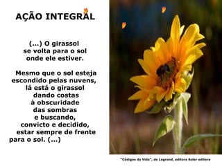 AÇÃO INTEGRAL


     (...) O girassol
   se volta para o sol
    onde ele estiver.

  Mesmo que o sol esteja
 escondido pelas nuvens,
     lá está o girassol
        dando costas
       à obscuridade
        das sombras
        e buscando,
   convicto e decidido,
  estar sempre de frente
para o sol. (...)


                           “Códigos da Vida”, de Legrand, editora Soler editora
 