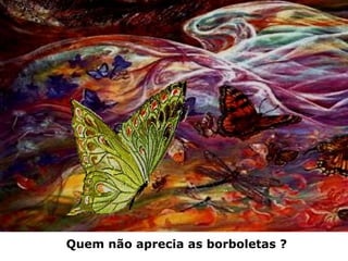 Quem não aprecia as borboletas ?
 