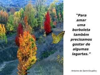 “Para
    amar
     uma
 borboleta
  também
precisamos
 gostar de
  algumas
 lagartas.”



Antoine de Saint-Exupéry
 